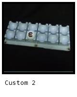Silicone molded work piece carrier